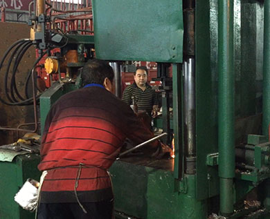 四川蜀力電機有限公司2