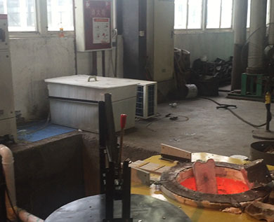 四川蜀力電機有限公司4